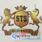 STS NEWSKILL _QGTECHNO