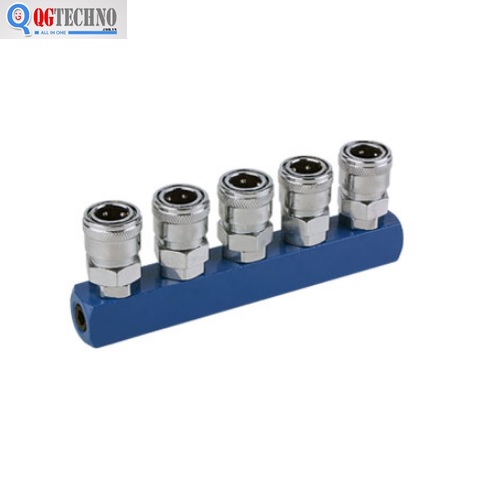 Bộ đầu nối nhanh chia 5 đầu ống hơi khí nén bằng thép Dannio
