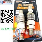 Bộ Đầu-Đuôi nối nhanh ống dây hơi tự động 30 SM-PM ren ngoài dây 6.5 x 10mm kapusi